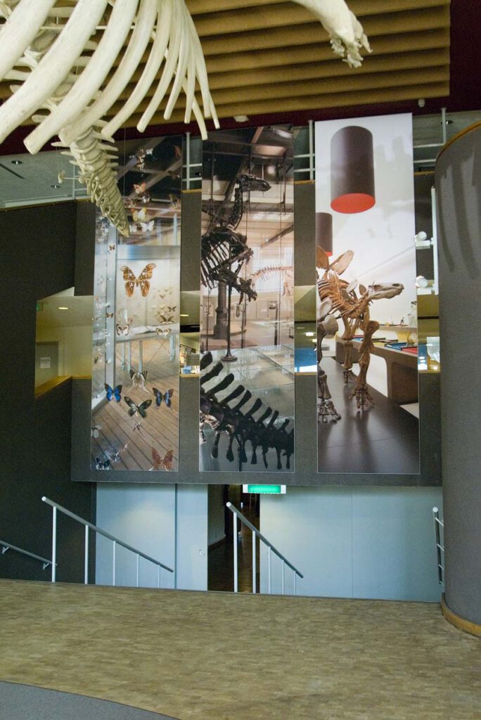 image shows the interior of the National Museum of Nature and Science in Tokyo